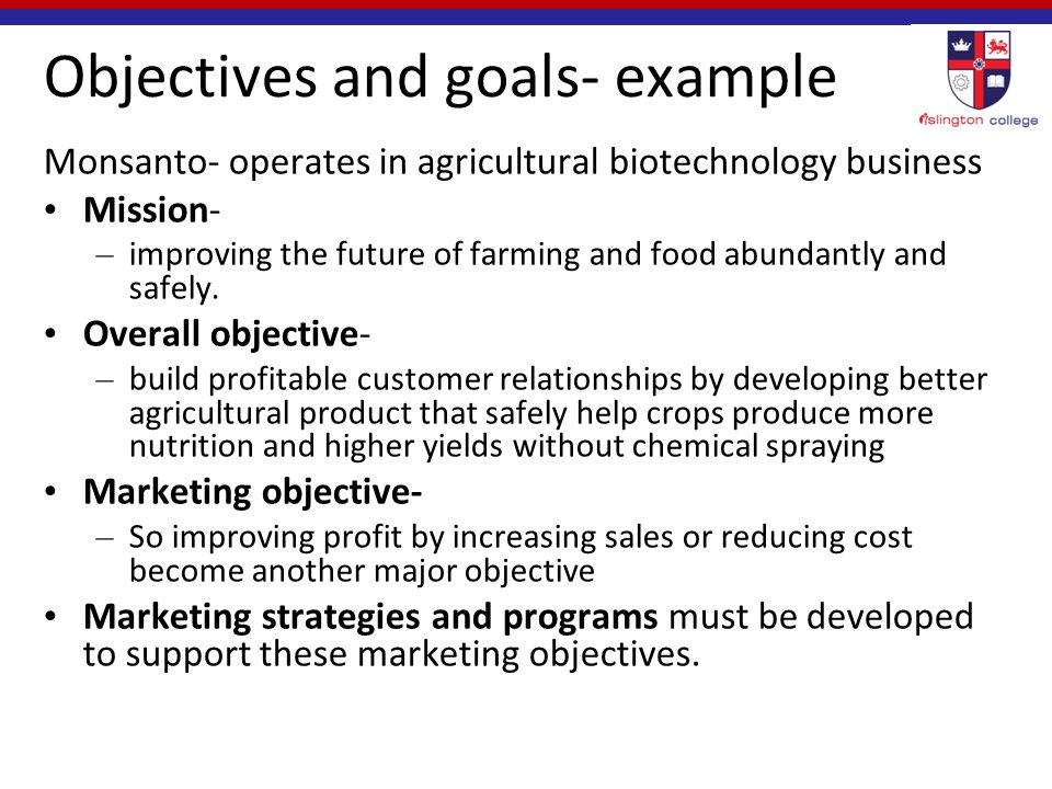 Goals objectives business plan example